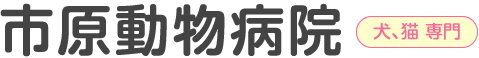 市原動物病院